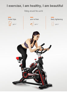 Model 709 Indoor spinning bike